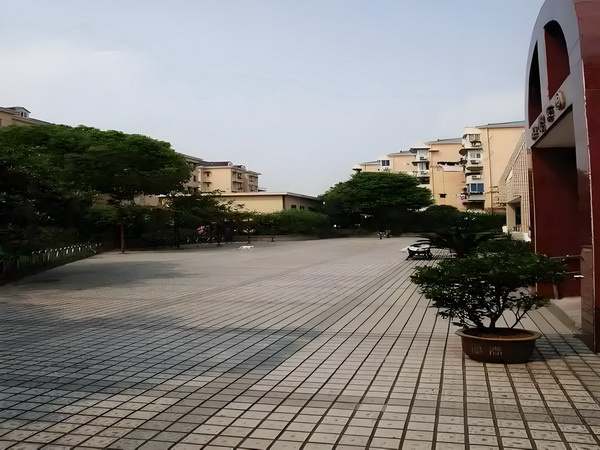 预售惨淡人气暴跌谁也救不了“狂妄自大”的那英